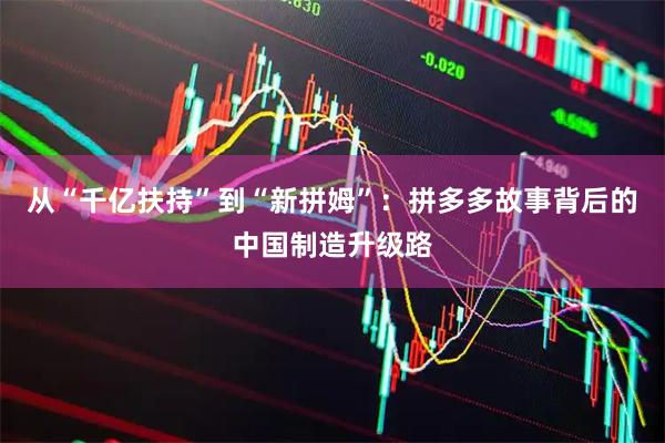 从“千亿扶持”到“新拼姆”：拼多多故事背后的中国制造升级路