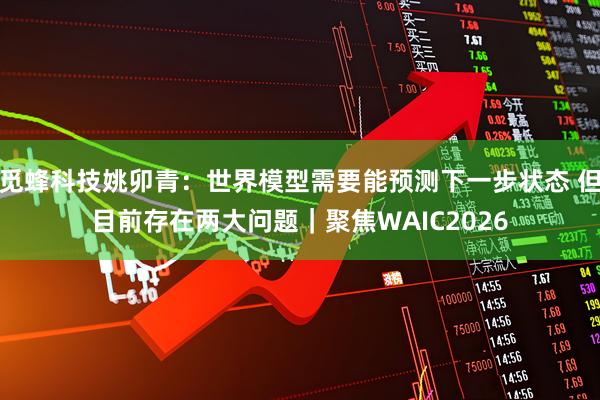 觅蜂科技姚卯青：世界模型需要能预测下一步状态 但目前存在两大问题｜聚焦WAIC2026
