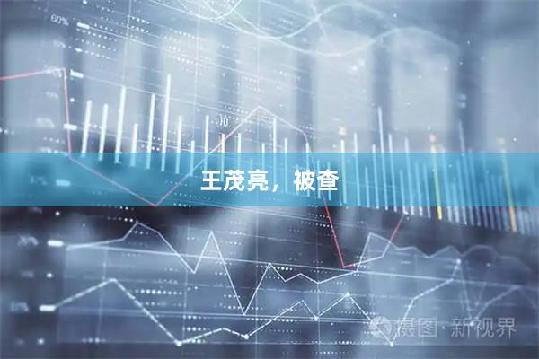 王茂亮，被查